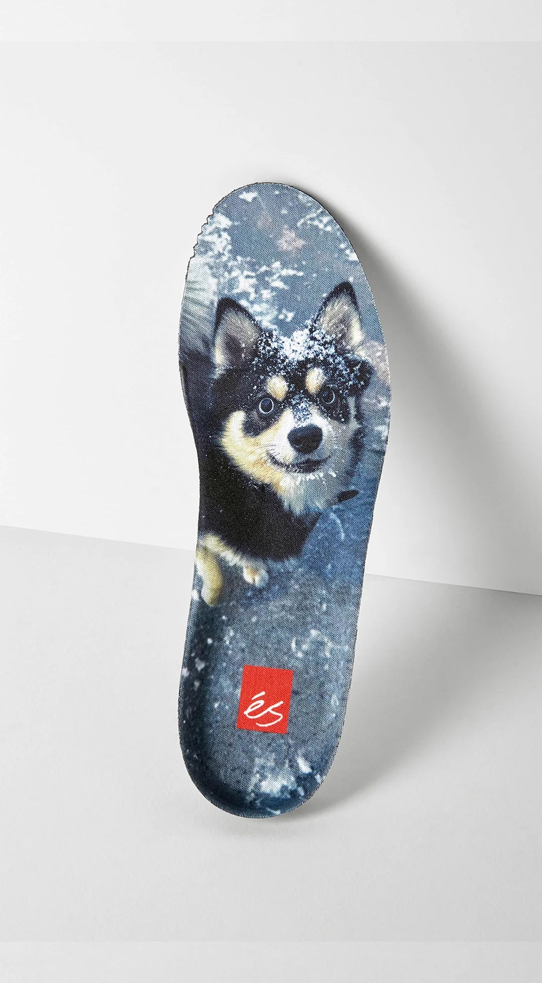éS TJ Rogers (Black / Blue / White)