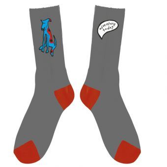 Adventure Today Embroidered Youth Sock (Grey)